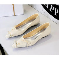 Pointed End Low Heeled Shoes Women Wedges Bowknot Low Heels Pumps Elegant Banquet Shoe Kitten Heels Ladies Shoes
