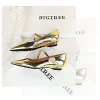 Spring Women's Shoes Classic Style Fashion Pointed Toe Daily Commuter Women's Mary Jane Party Ladies Shoes