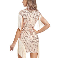 Sequin Retro Dress Embroidered Dress Prom Dress for women