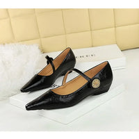 Spring Women's Shoes Classic Style Fashion Pointed Toe Daily Commuter Women's Mary Jane Party Ladies Shoes