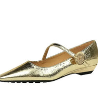 Spring Women's Shoes Classic Style Fashion Pointed Toe Daily Commuter Women's Mary Jane Party Ladies Shoes