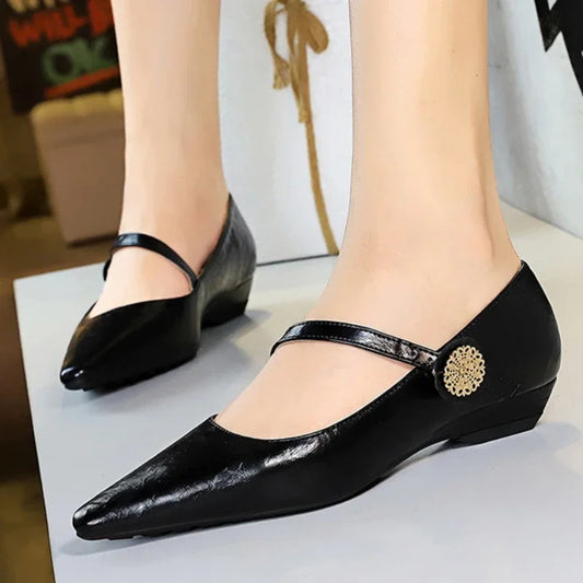 Spring Women's Shoes Classic Style Fashion Pointed Toe Daily Commuter Women's Mary Jane Party Ladies Shoes