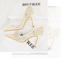 Women Pumps Luxury Mesh Lace Pointed-toe Shoes Wrap-toe Shallow High Heel Pumps For Ladies Annual Meeting Nightclub Shoes My Store